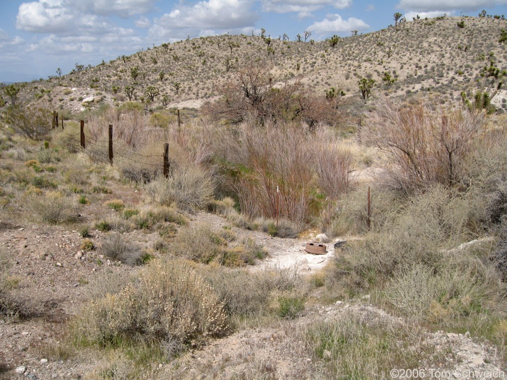 Pond in Halloran Hills, San Bernardino County, California
