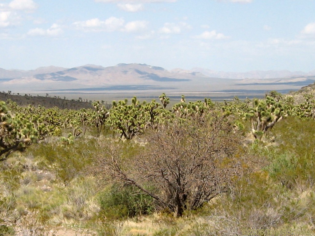 Shadow Valley, San Bernardino County, California