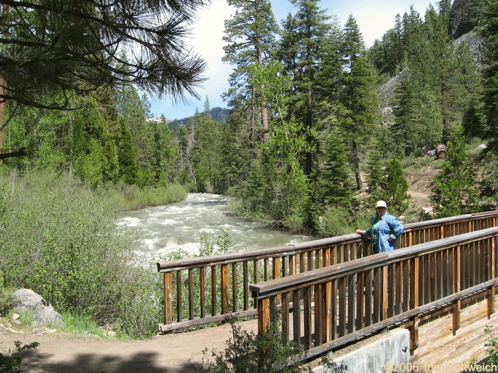 Columns of the Giants, Stanislaus River, Tuolumne County, California.