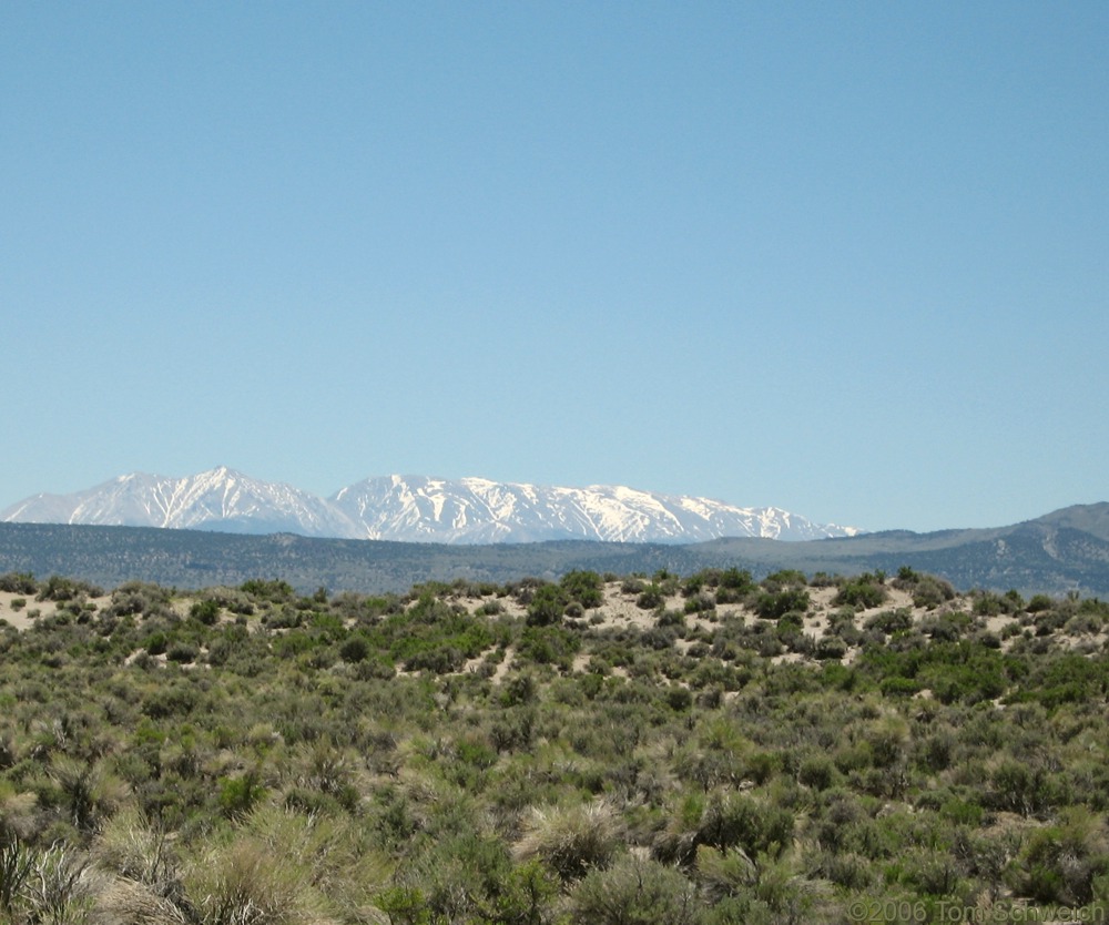 Sand dunes, Mono Basin, Mono County, California