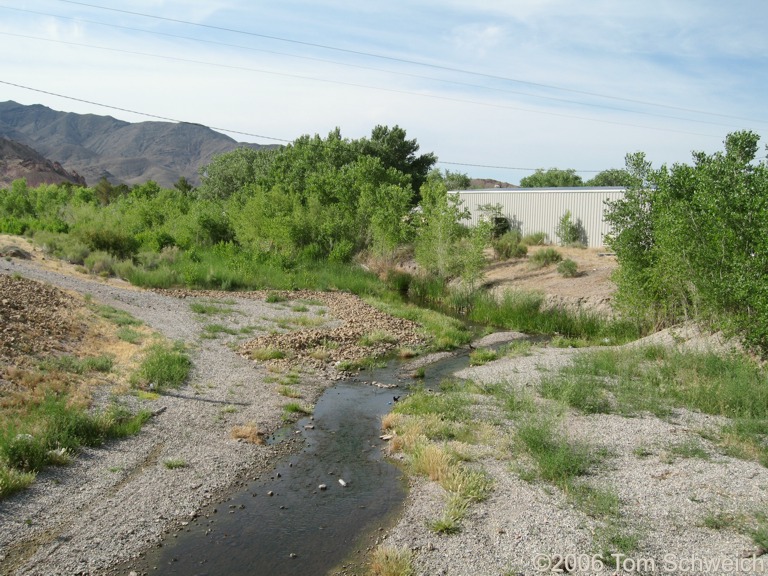 Amargosa River, Beatty, Nye County, California