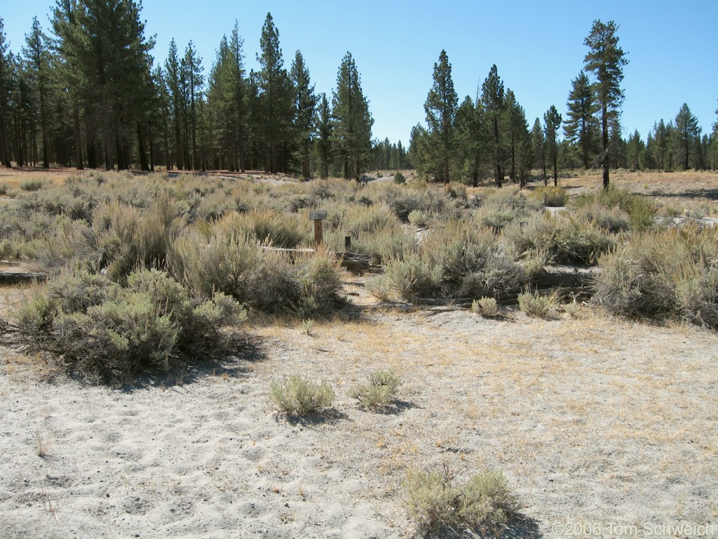 Mono Mills, Mono County, California