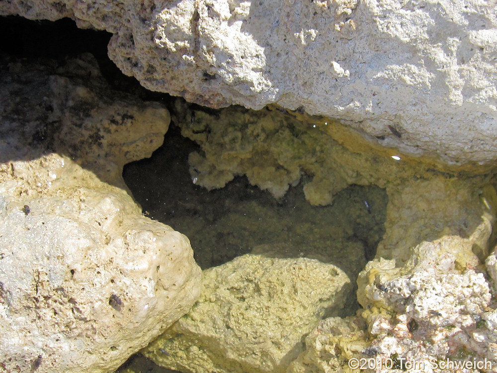 California, Mono County, South Tufa