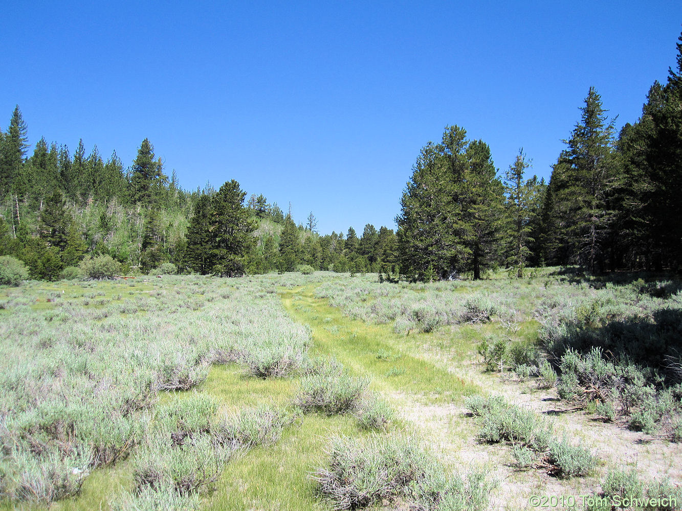 California, Mono County, Dry Creek