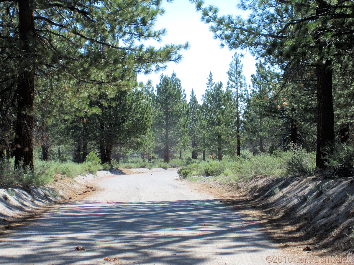 California, Mono County, Adobe Valley