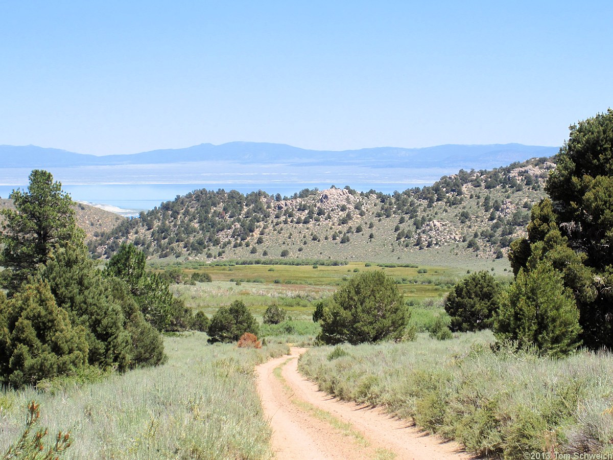 California, Mono County, Lower Horse Meadow