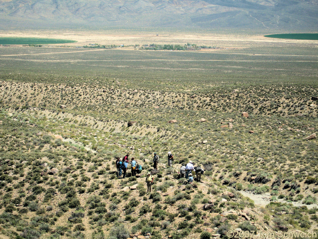 Furnace Creek, White Mountains, Mono County, California