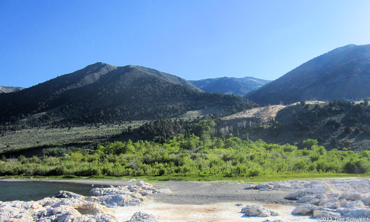 California, Mono County, Andy Thompson Creek
