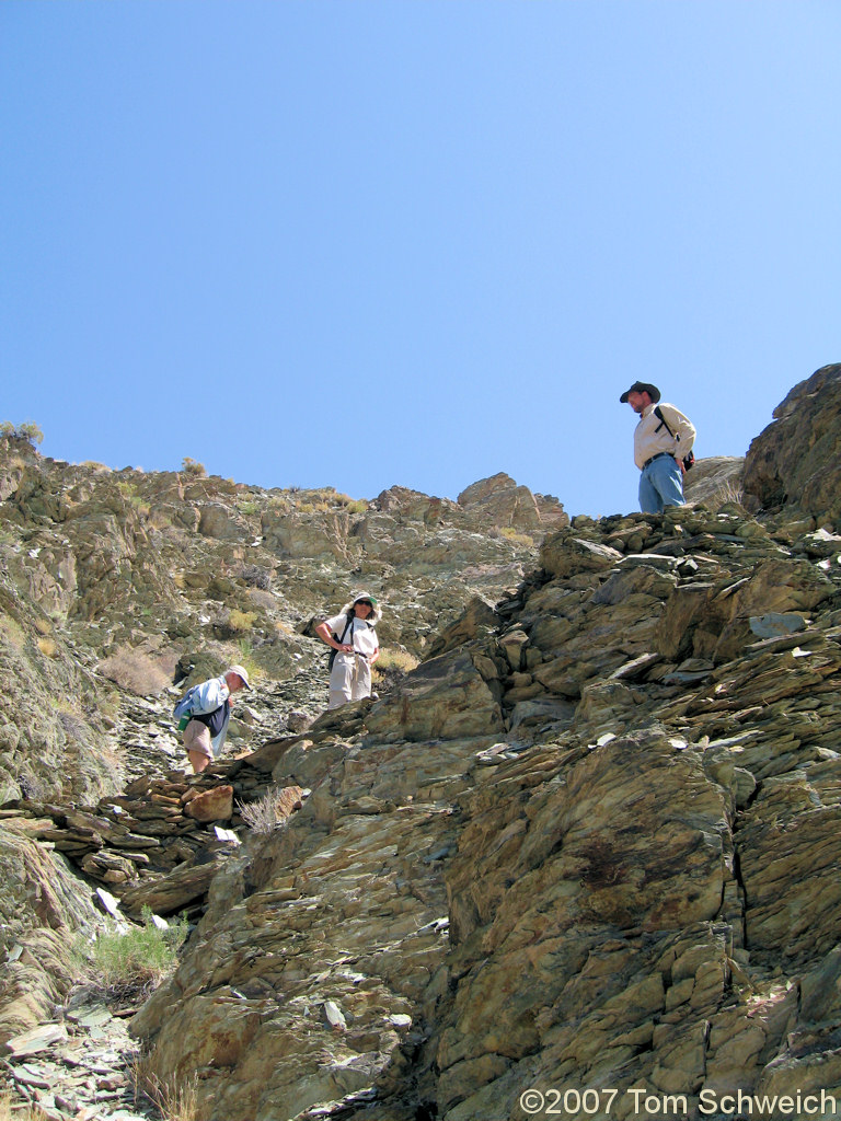 California, Inyo County, White Mountains, Coldwater Canyon