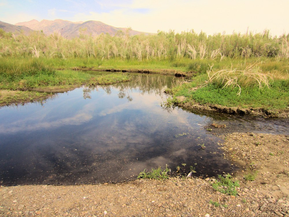 California, Mono County, Mill Creek