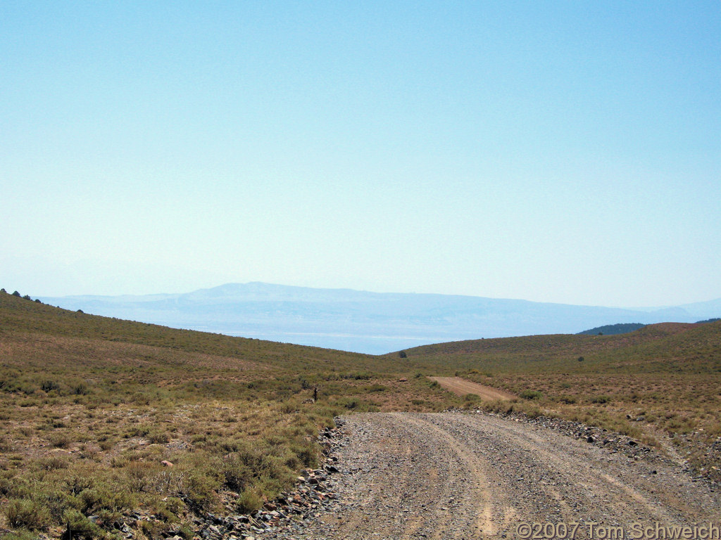 California, Mono County, Bridgeport Canyon, Cowtrack Mountain