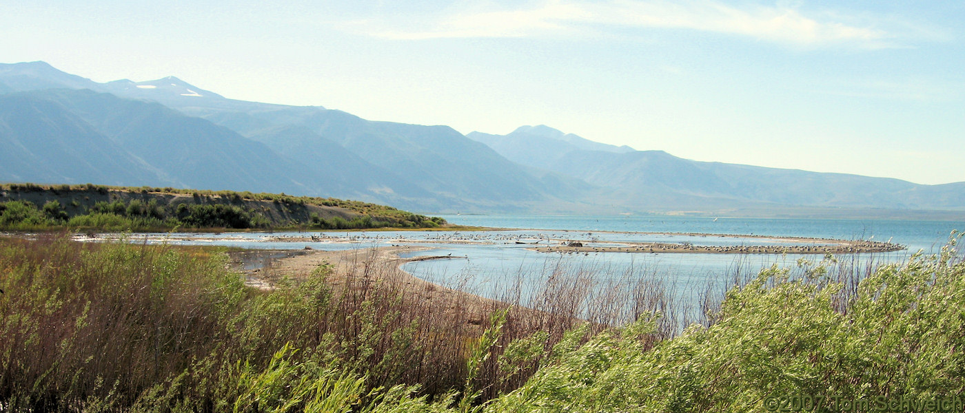 California, Mono Lake, Rush Creek