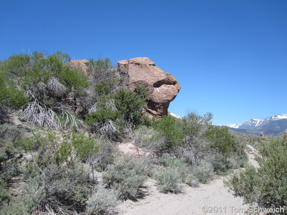 California, Mono County, Aeolian Buttes