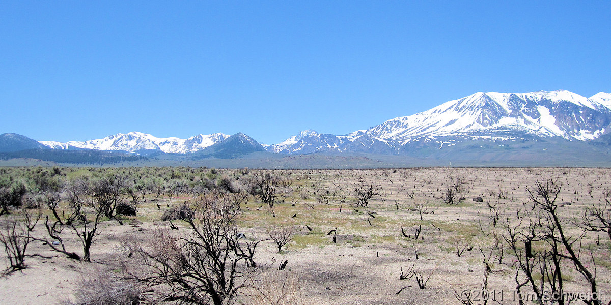 California, Mono County, Pumice Valley