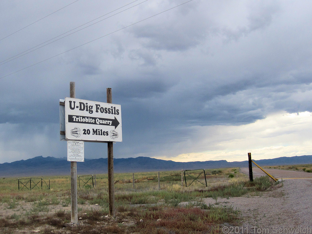 Utah, Millard County, U-Dig Fossils