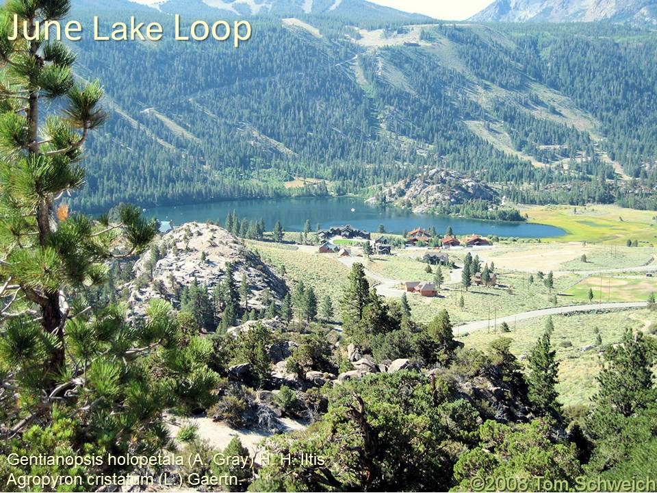 California, Gull Lake