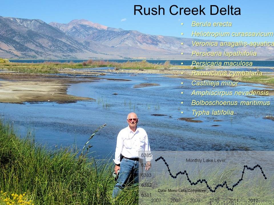 California, Mono County, Rush Creek