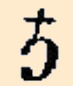 Suffrutex