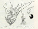 Full Size Image