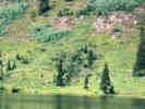 Full Size Image