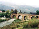 Full Size Image