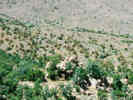 Full Size Image