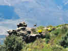 Full Size Image