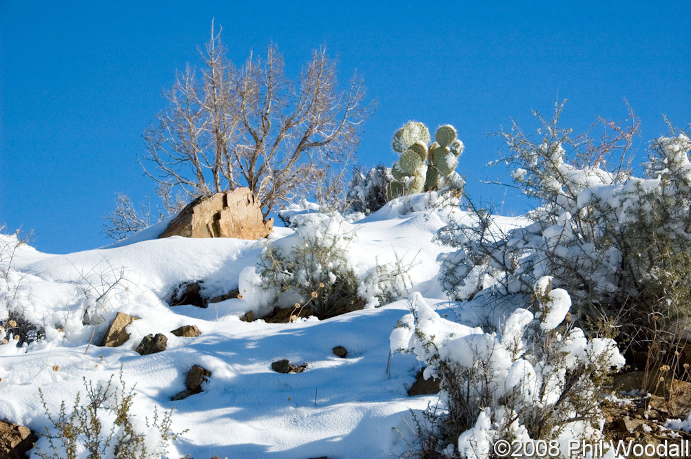 California, San Bernardino County, Wild Horse Canyon