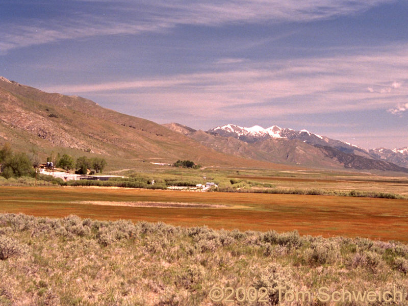 Gallagher State Fish Hatchery in Ruby Valley