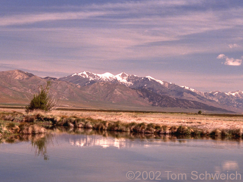View northeast of Ruby Mountains from Ruby Lake National Wildlife Refuge.