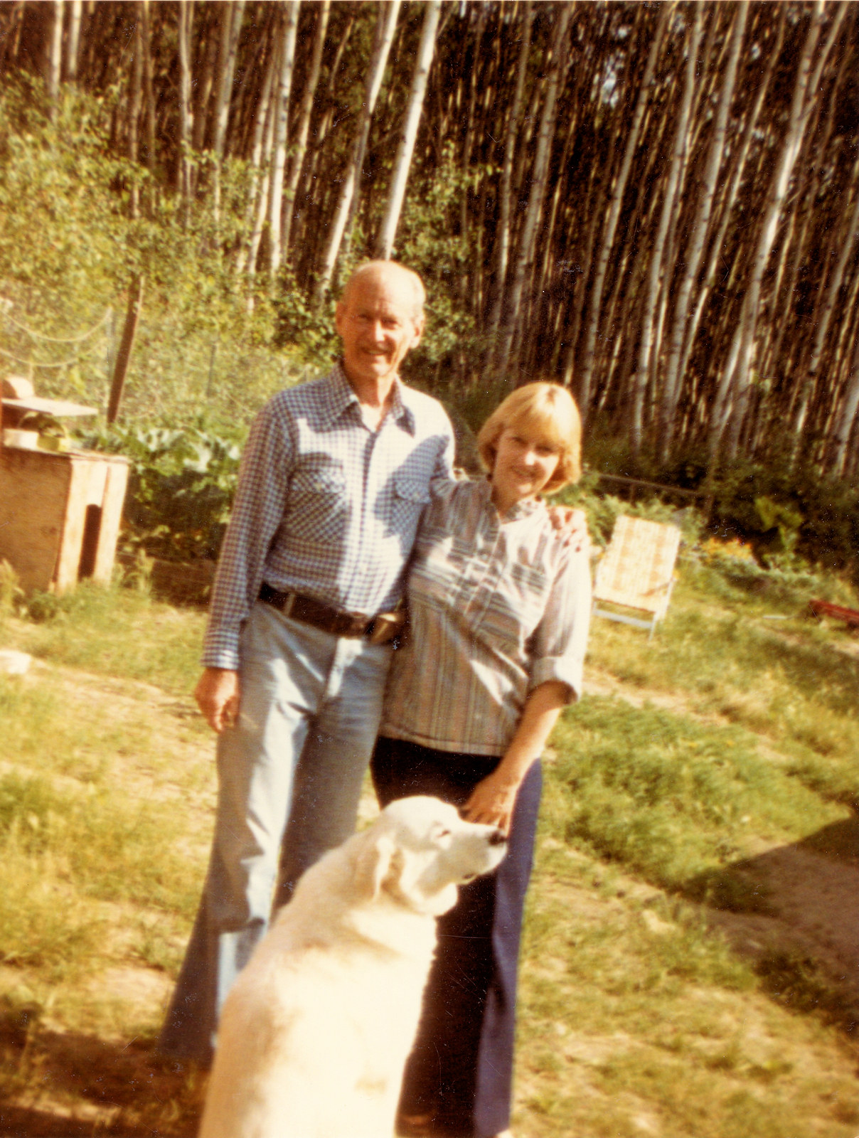 Alaska, Ester
