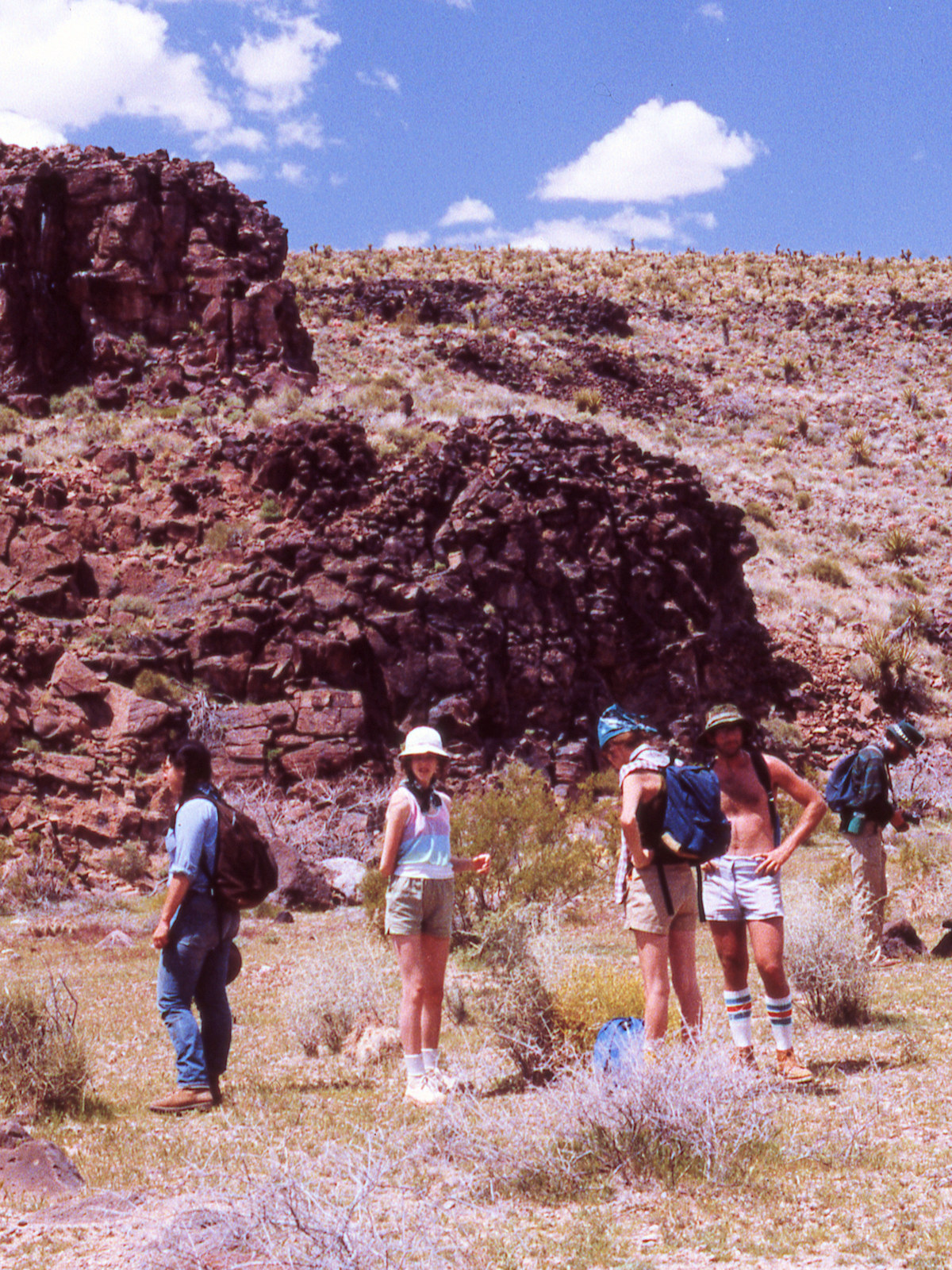 California, San Bernardino County, Woods Mountains, Burro Canyon