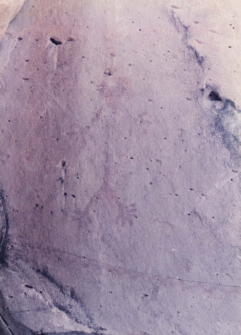 California, San Bernardino County, Woods Mountains