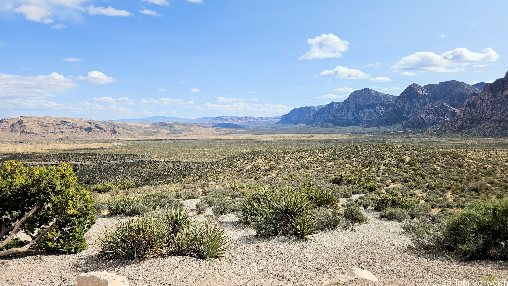 Nevada, Clark County, Red Rock Canyon National Conservation Area
