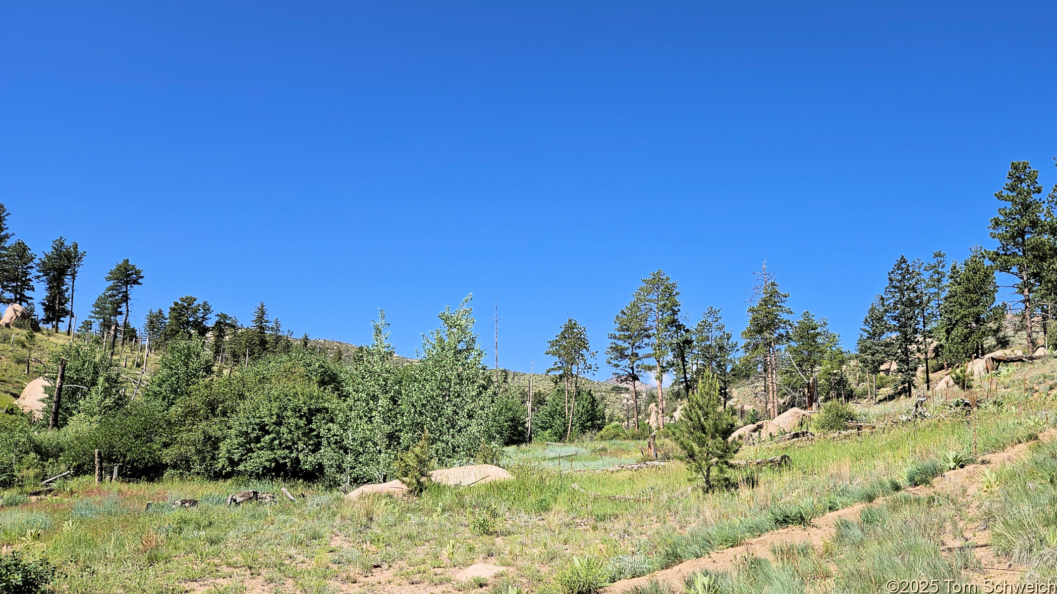 Colorado, Jefferson County, Molly Gulch