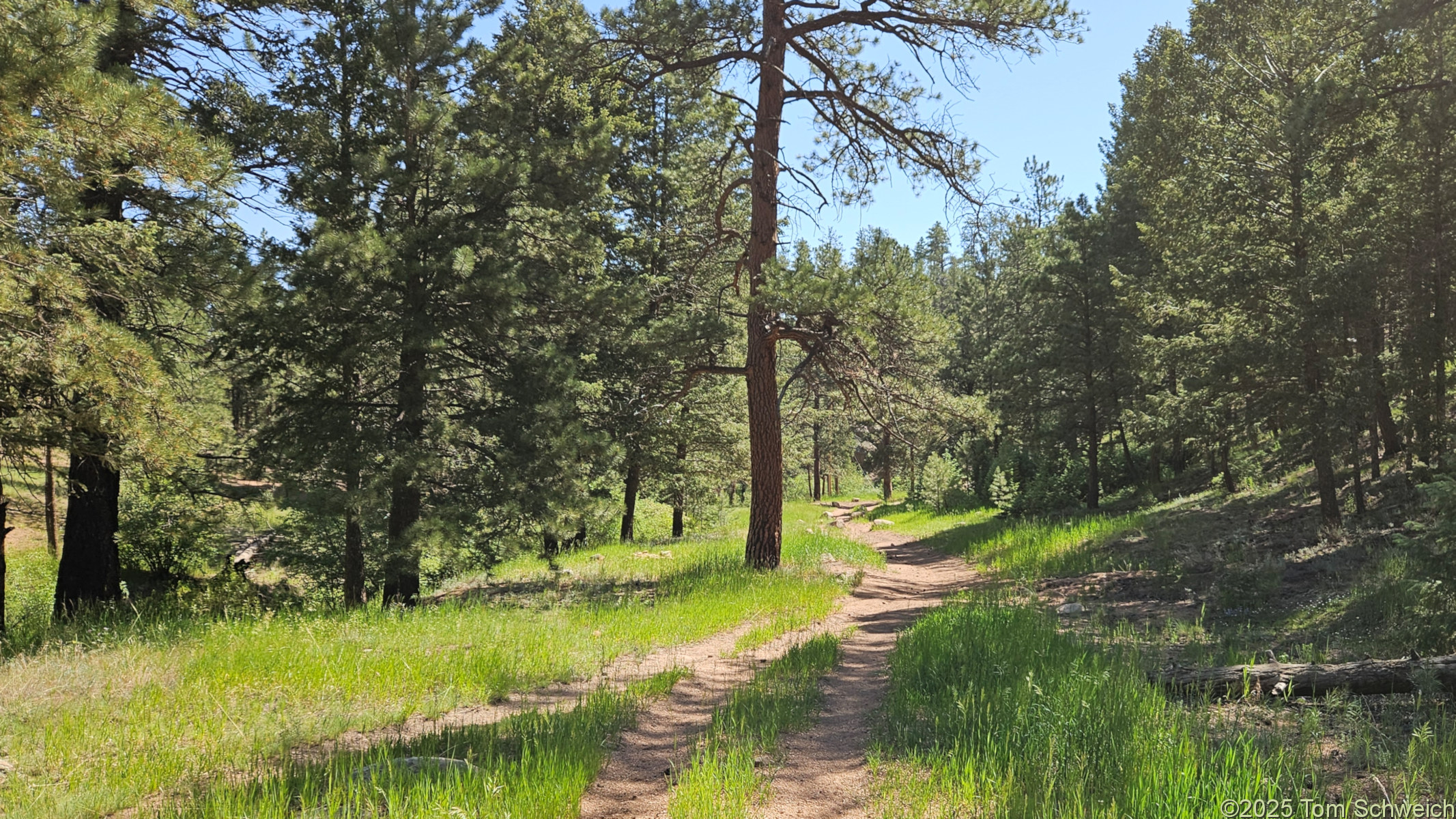 Colorado, Jefferson County, Molly Gulch
