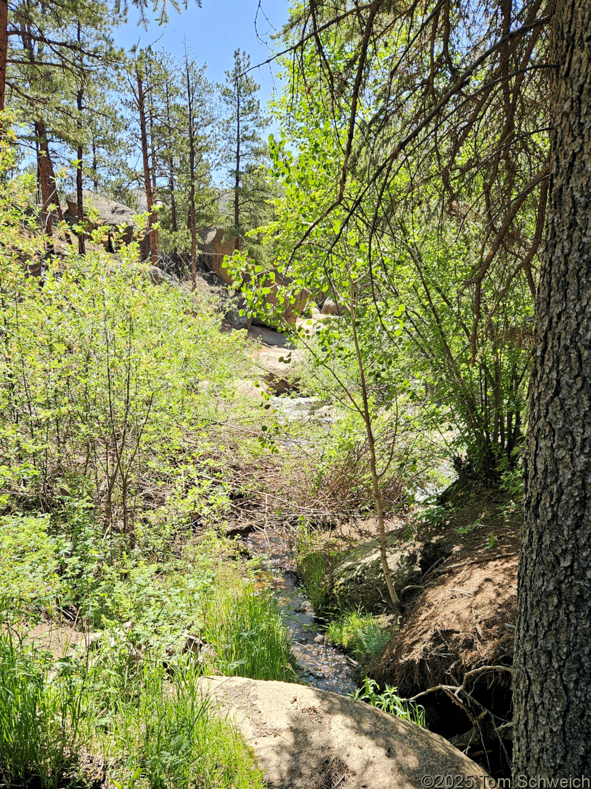 Colorado, Jefferson County, Twin Creek