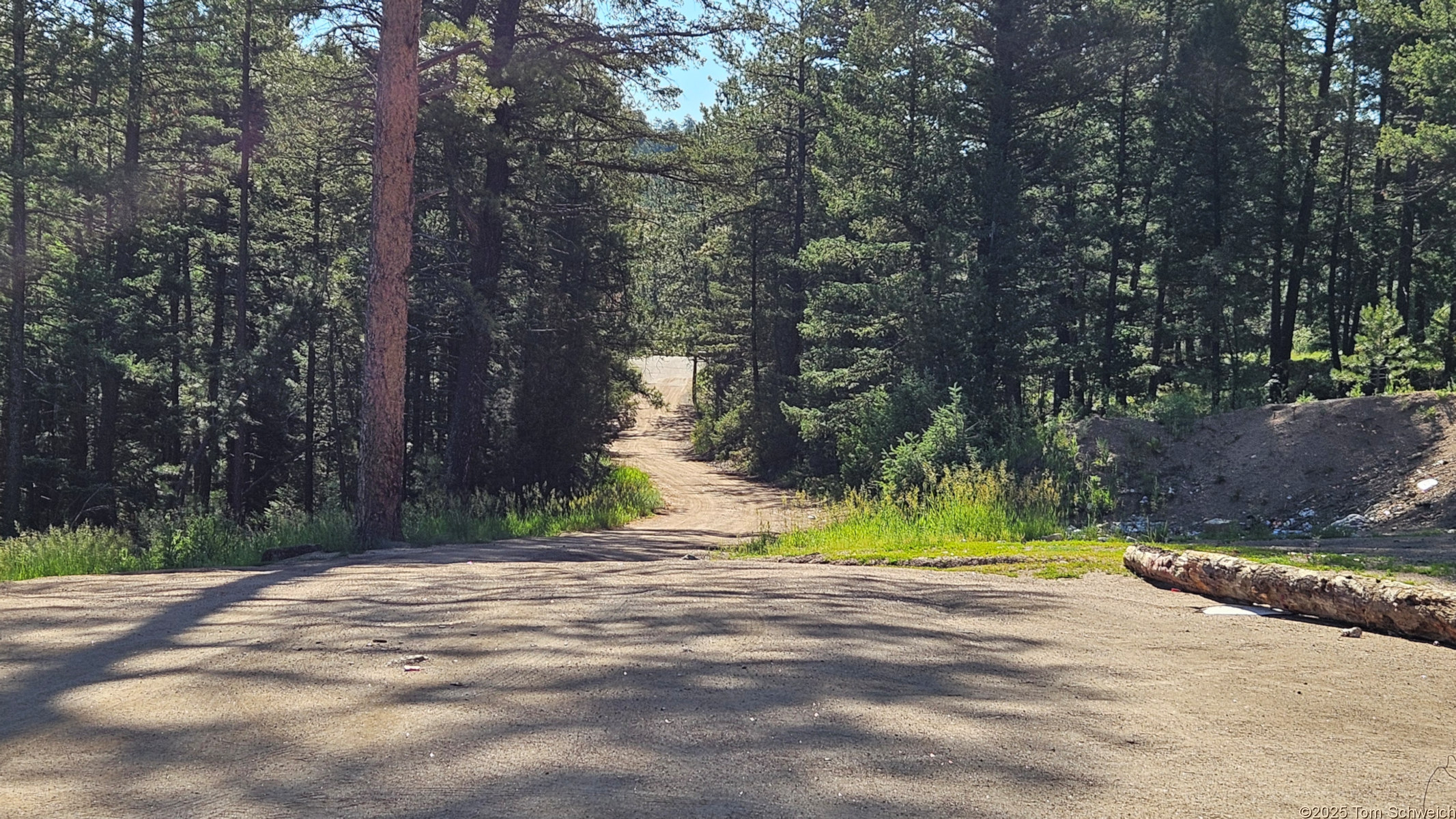 Colorado, Jefferson County, Pike-SanIsabel National Forest.