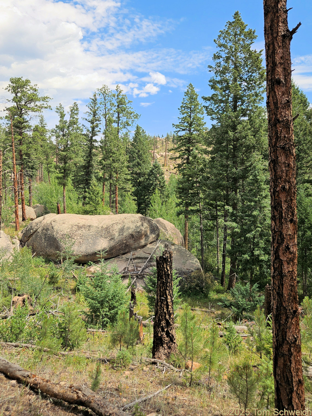 Colorado, Jefferson County, North Twin Creek