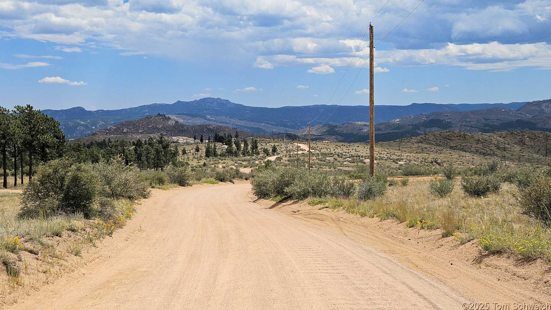 Colorado, Jefferson County, Tarryall Mountains, east slope