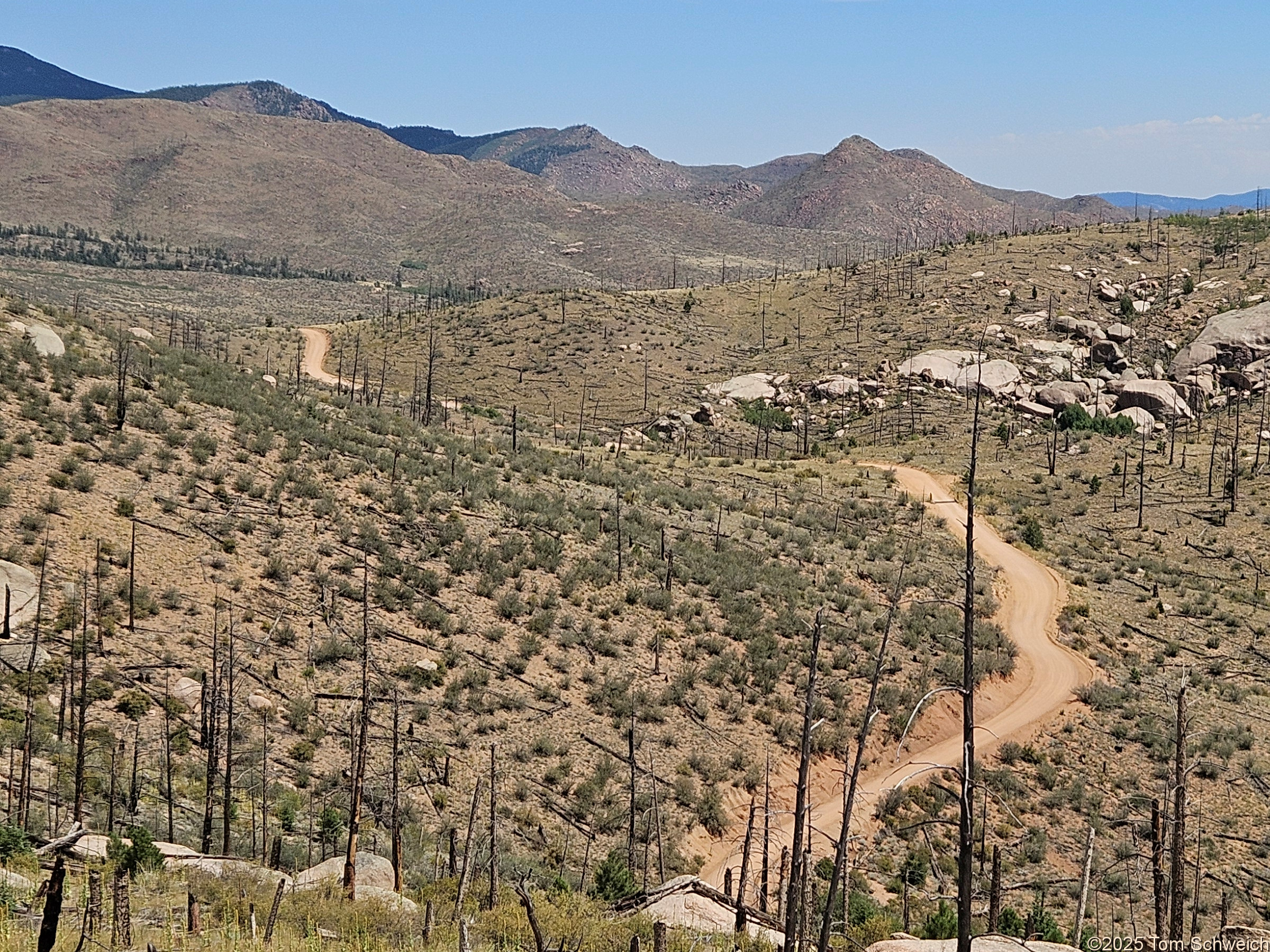 Colorado, Jefferson County, Tarryall Mountains, east slope
