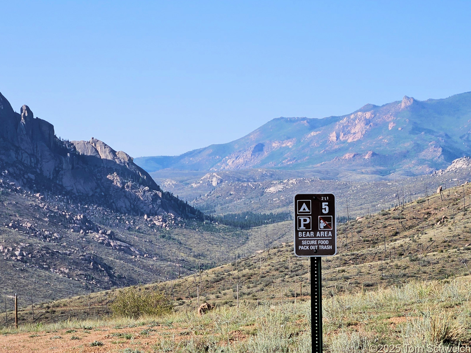 Colorado, Jefferson County, Tarryall Mountains, east slope, FR 211 CS 5