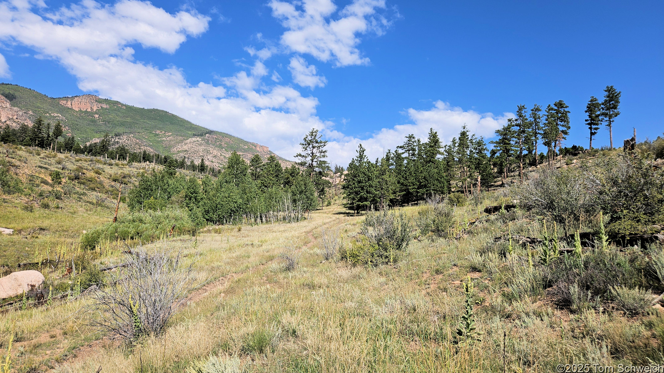Colorado, Jefferson County, Tarryall Mountains, east slope, Twin Creek