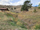 Full Size Image