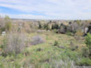 Full Size Image
