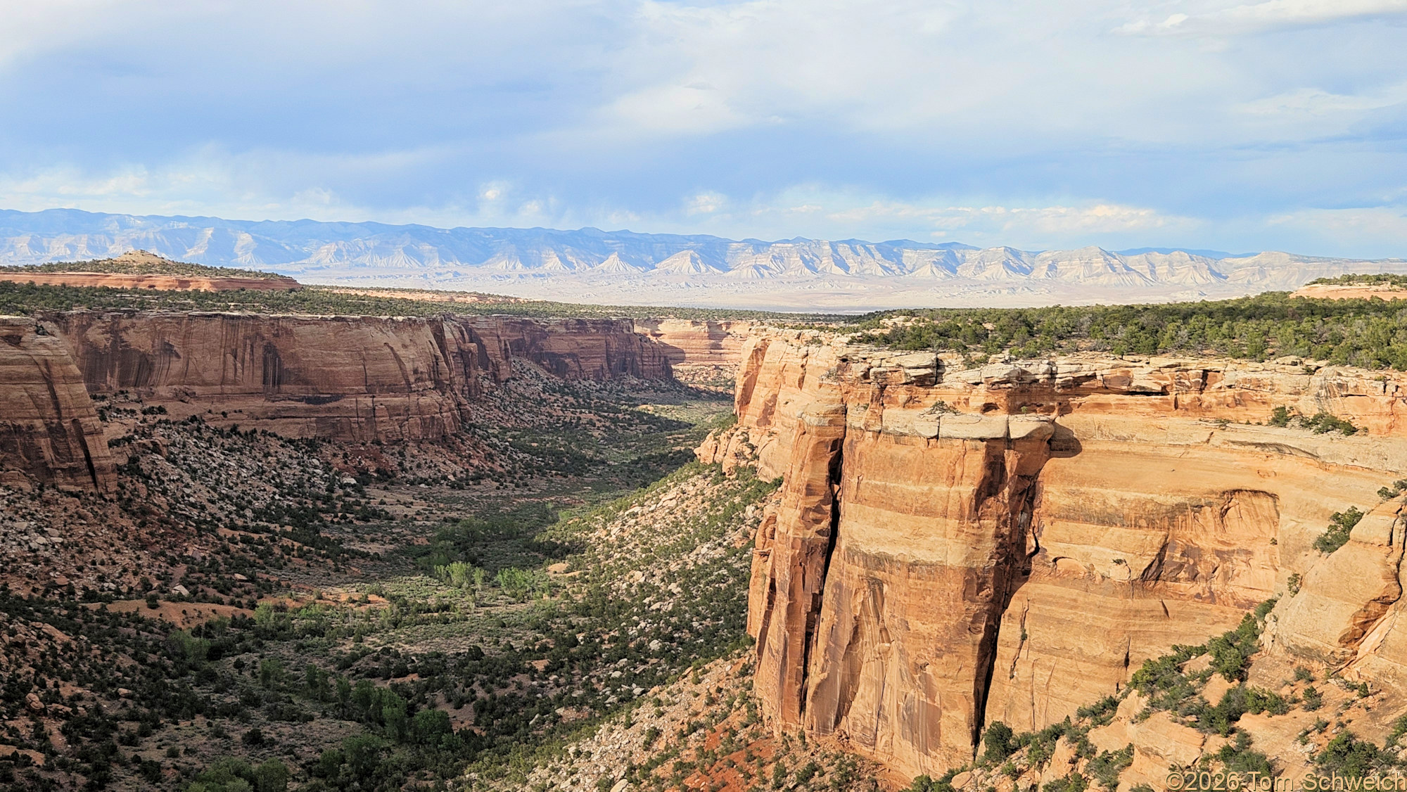 Colorado, Mesa County, Colorado National Monument, Ute Canyon