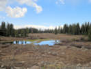 Full Size Image