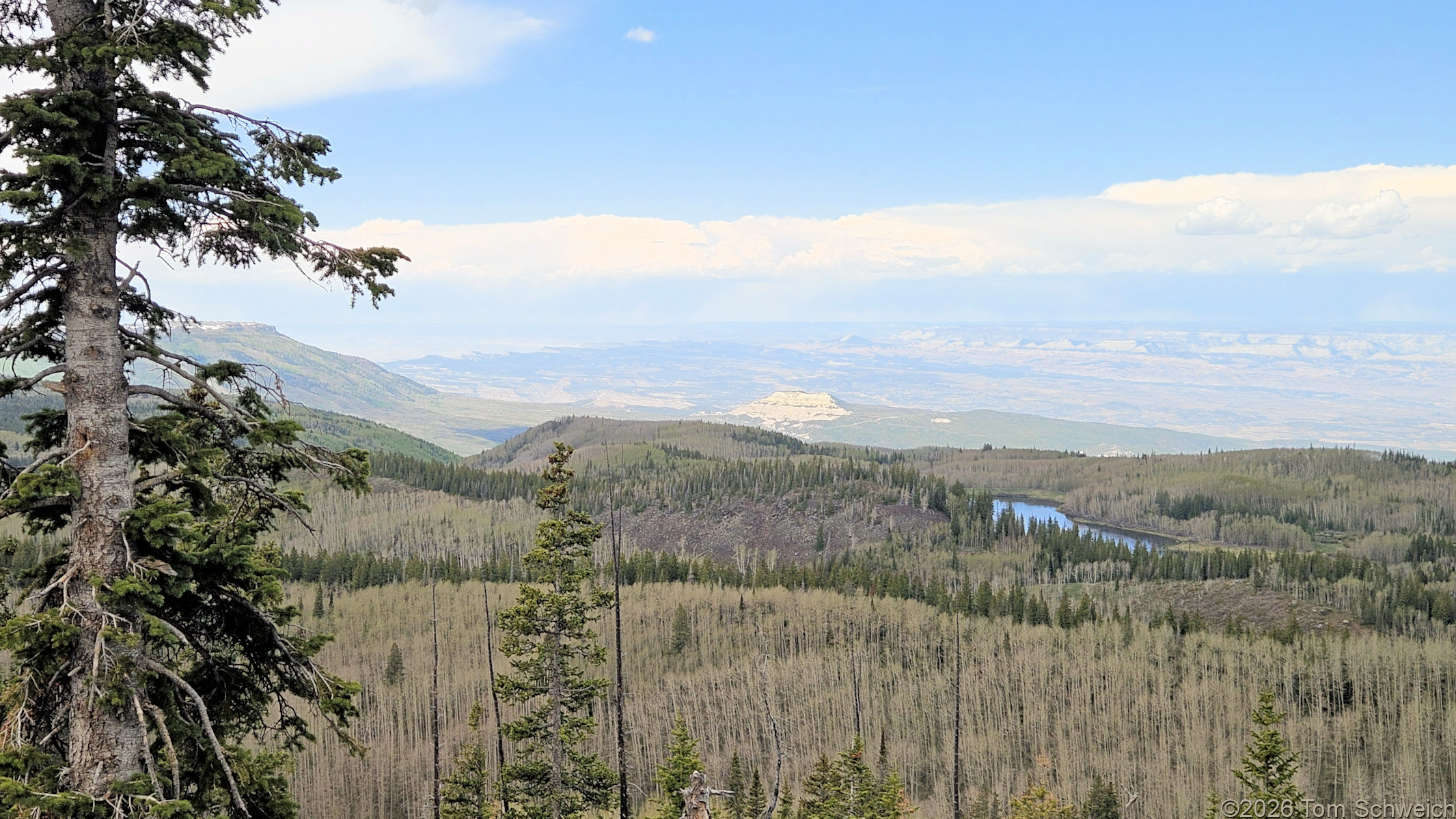 Colorado, Mesa County, Grand Mesa