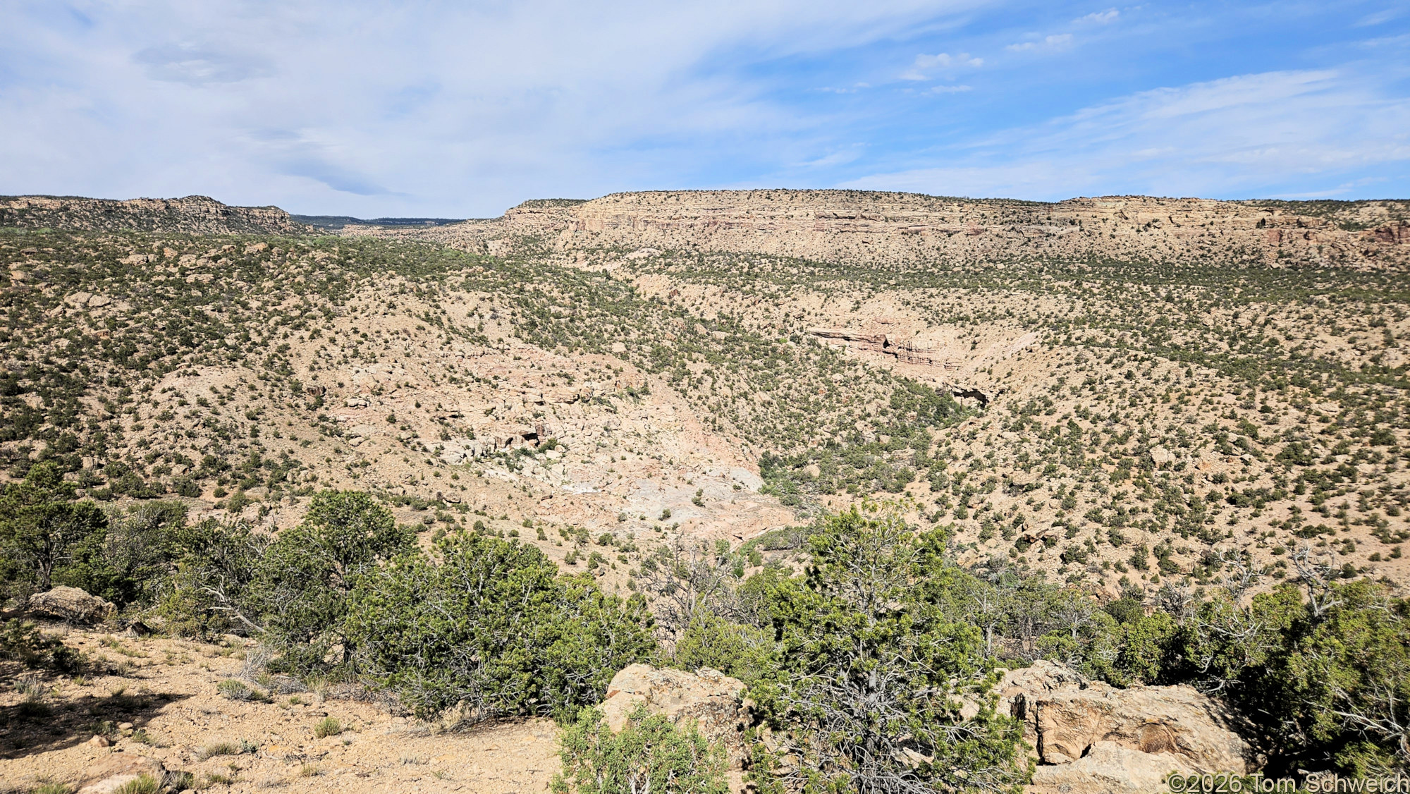 Colorado,Mesa County, Unaweep Canyon, North East Creek