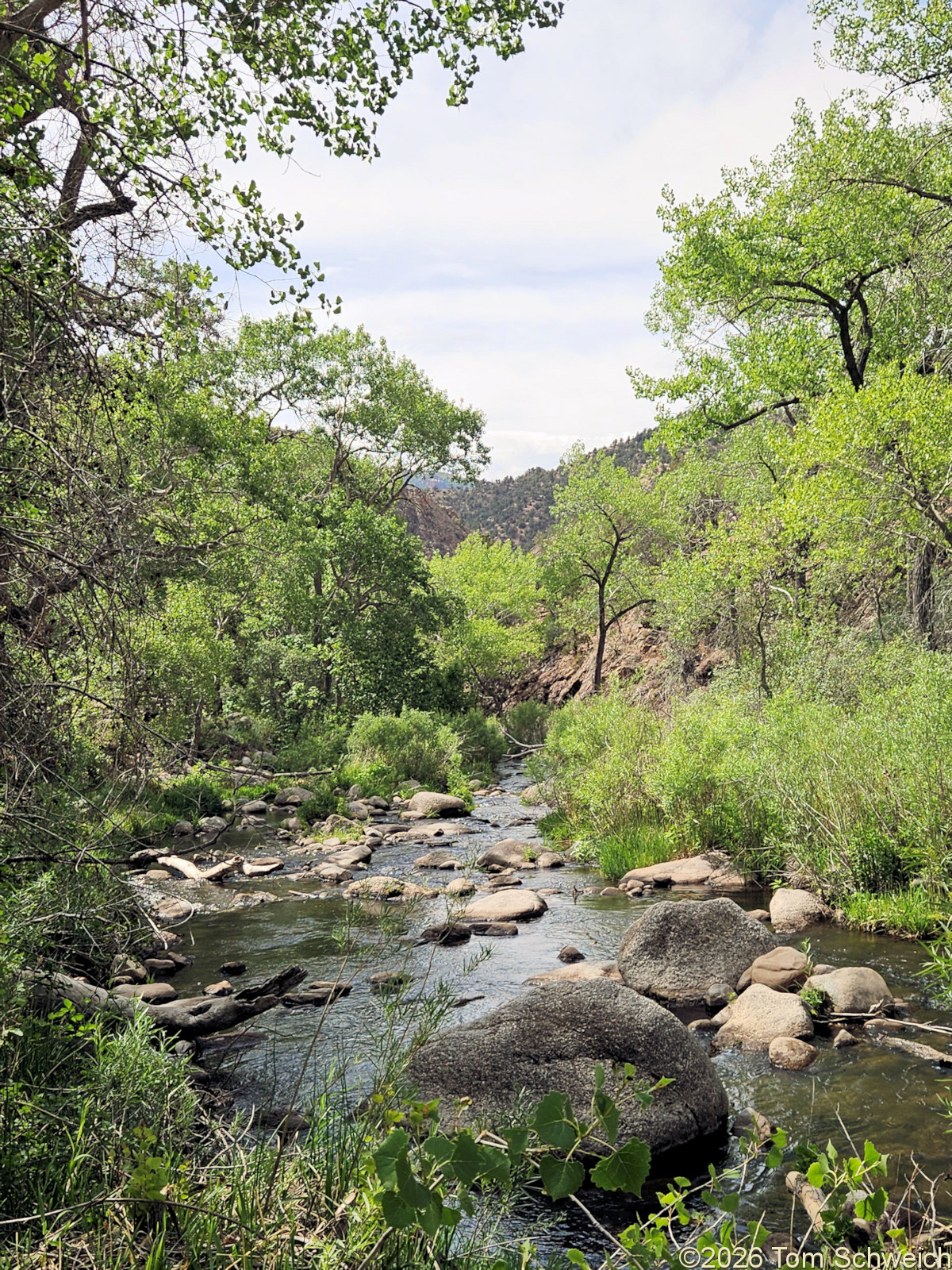 Colorado,Mesa County, Unaweep Canyon